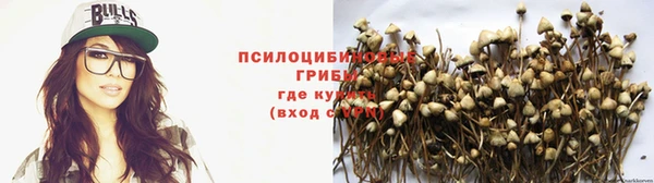 кокс Няндома