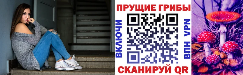 Купить  Талица  Галлюциногенные грибы Cubensis 
